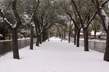 Snow in Galveston