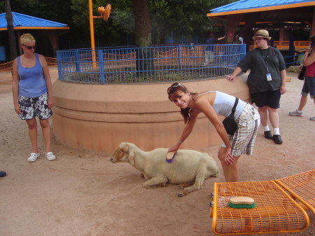 me july 09 wildkingdom orlando fl