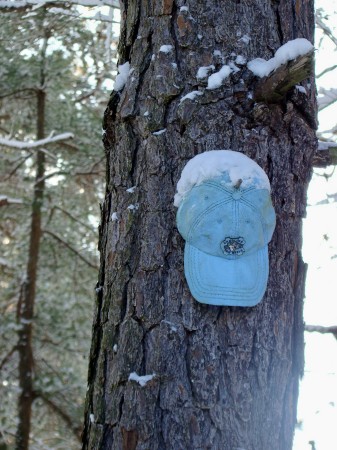 Carolina hat bird house