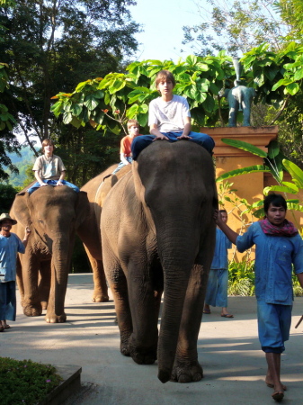 mahout1