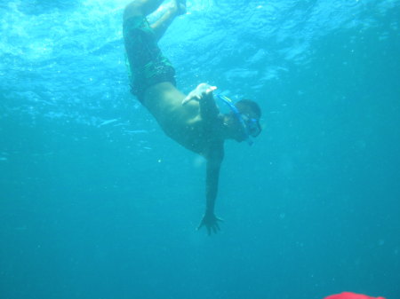 Free Diving