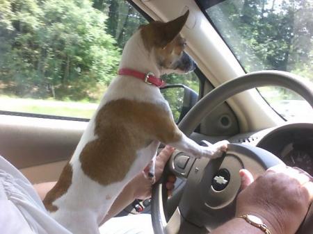 Jasmine Likes to Drive