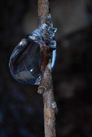 FROZEN TEAR DROP