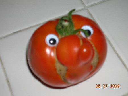 Funky Tomato from our Garden