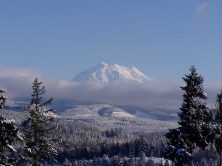 view from house