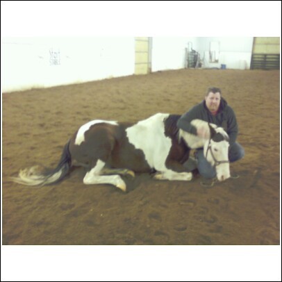 Teaching my horse to lay down