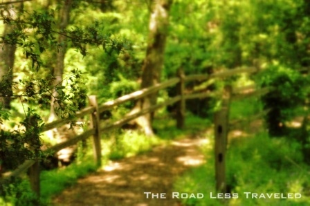 Road Less Traveled