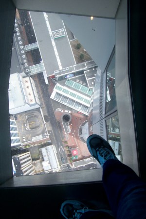 New Zealand Tower, looking through glass floor