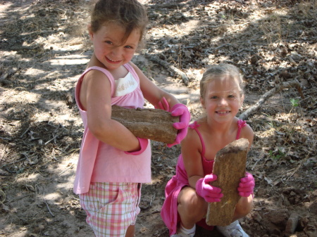 Digging for pertified wood