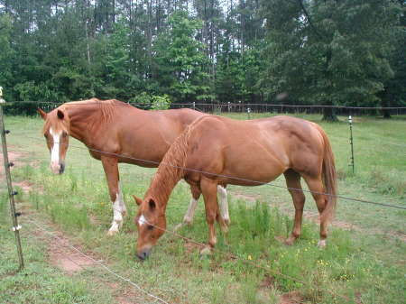 Shadrack & Star