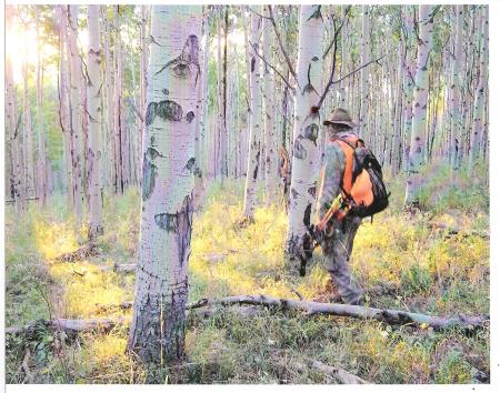 hunting in Colorado