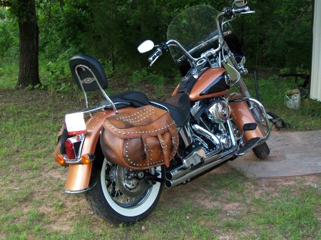 2008 Softail Classic