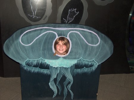 Jellyfish Kathryn