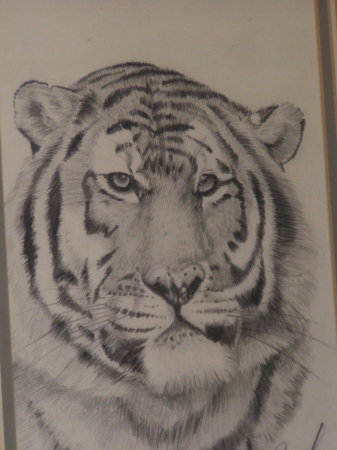 Graphite, Sieberian Tiger: