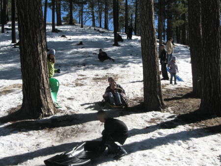 Sledding