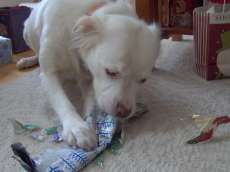 Chancie opening her gifts.