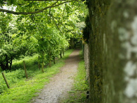 An irish walking path
