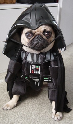 Darth Vader's evil twin!!