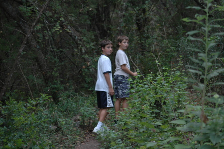 Hiking trail near house