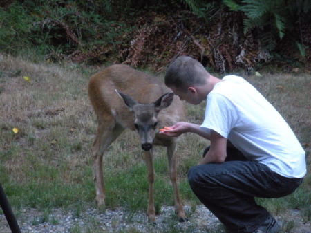 Carl meets Bambi