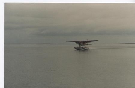 taxi home,copper river delta Alaska