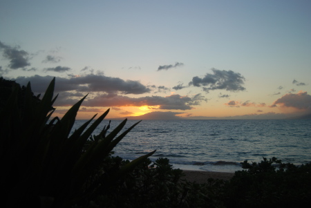 Maui 2008