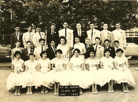 P.S. 64   1955 Graduation