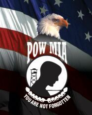 POW_MIAamereagle