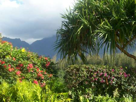 Beautiful Kauai, 2007