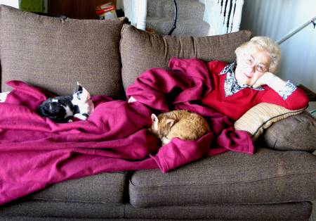mom and cats