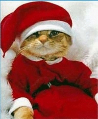 x-mas kitty