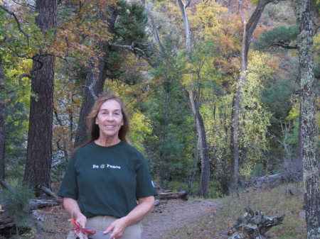 Fall in Railroad Canyon