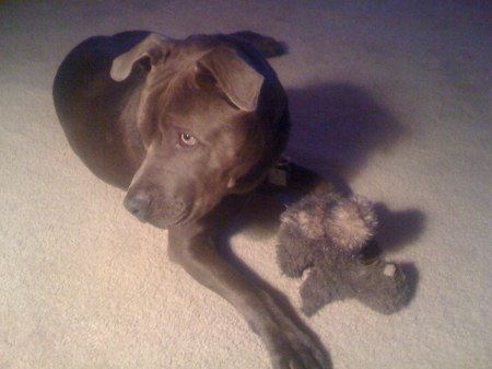Farley and his squirrel