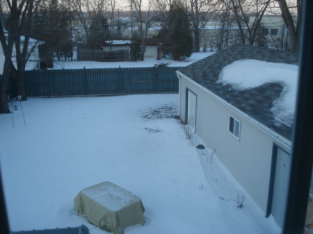 my backyard - Winter 2009