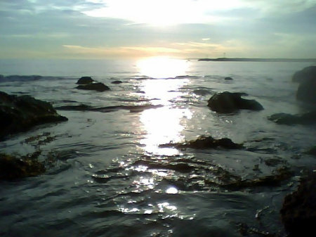 Sunlit Ocean