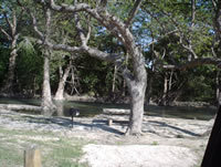 Castroville Regional Park