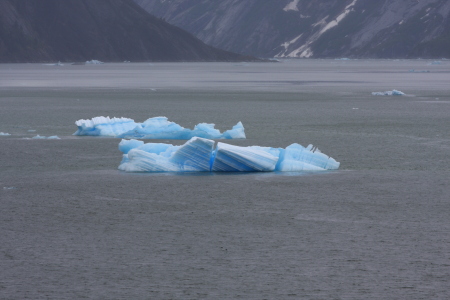 Iceberg