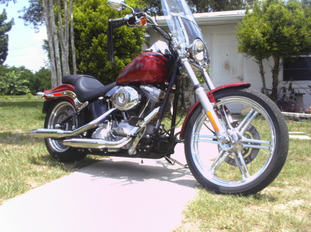 Karla's 2007 Softail