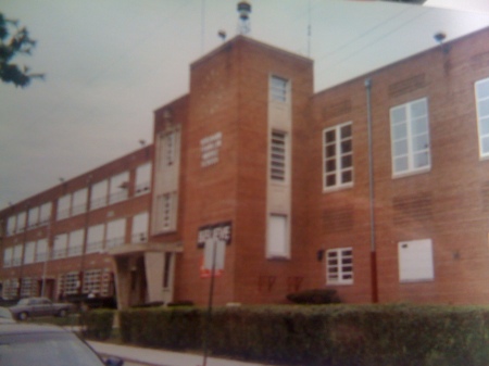 PS 239