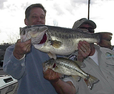 9 lb. toad