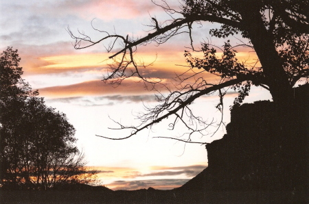 Lookin' out my back door at sunset