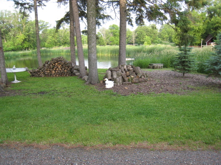 Our wildlife pond