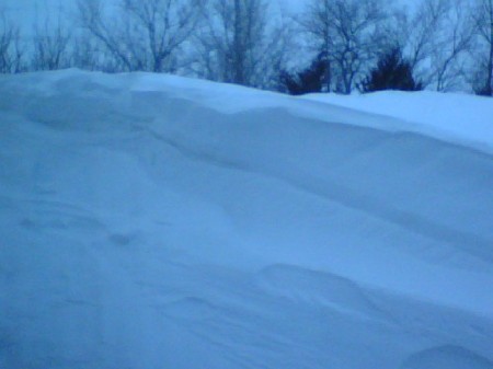 Snow drift in backyard