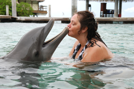 Kissing dolphin in Moorea at Intercontinental