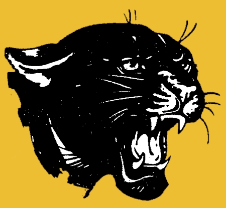 Our Original Blackcat Logo