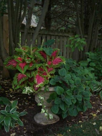 Love this shade container!