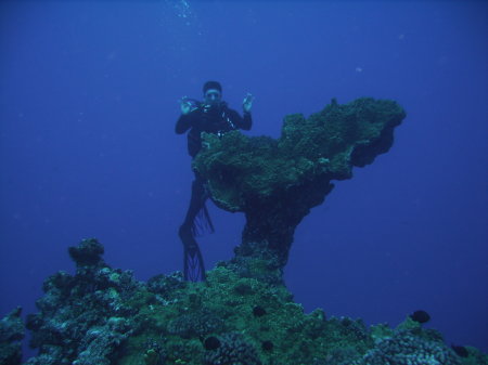 Tupitipiti dive site