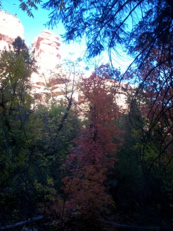 Contrast, the hues of the Canyon