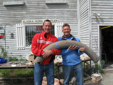 Pre-Historical Mammoth Tusk