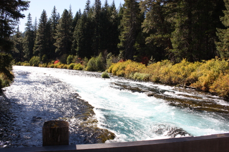 the cold springs made all of this water